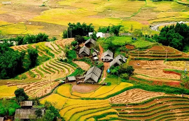Sapa - Vietnam