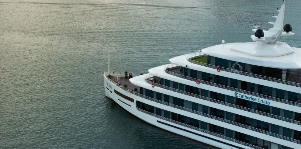 Catherine’s sale kit 3D2D